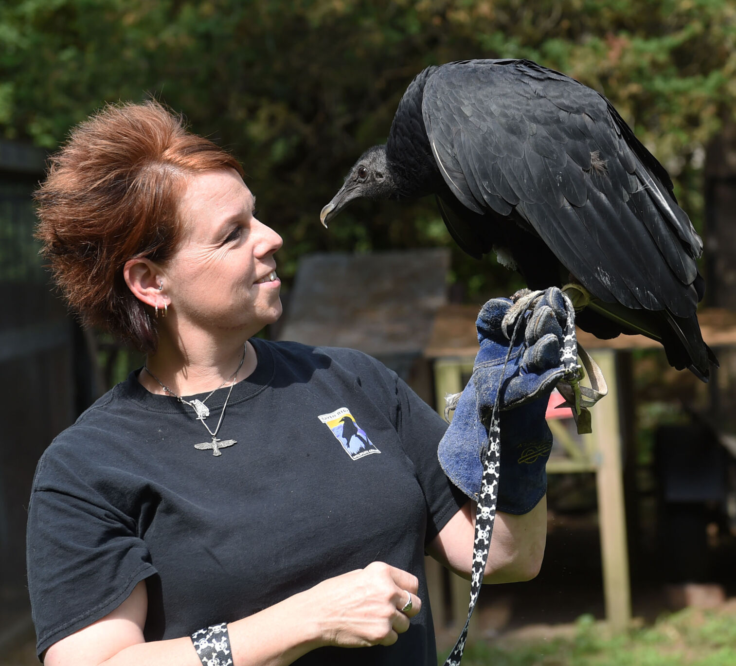WildlifeRescue002.jpg